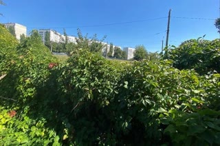 for sale land on 50th Anniversary of October urgently!