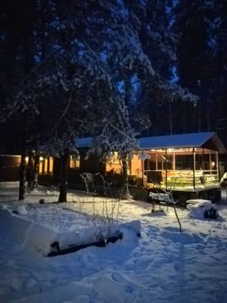 Продам будинок в сосновому лісі