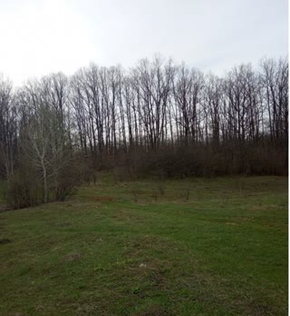 For Sale: Summer Cottage Plot by the Lake