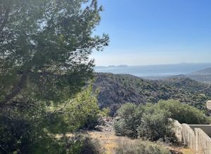 Οικόπεδο 400τ.μ.