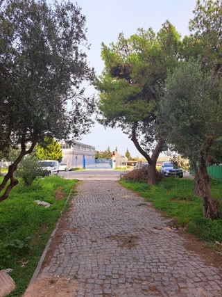 197 m² Store