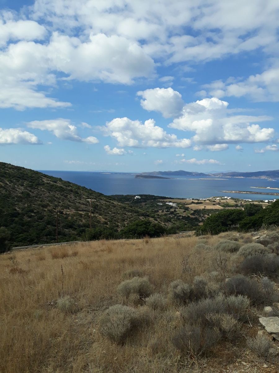 11500 m² Parcel