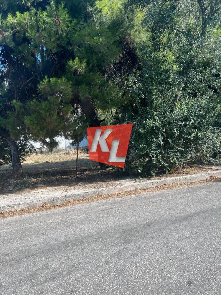 Οικόπεδο 617τ.μ.