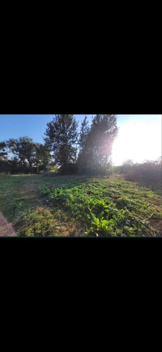 Sale of land in Vysloboky village, Lviv region