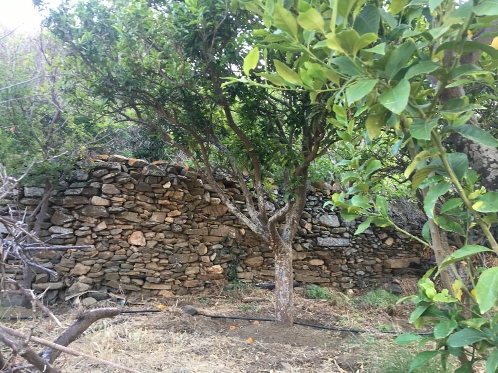 280 m² Detached House