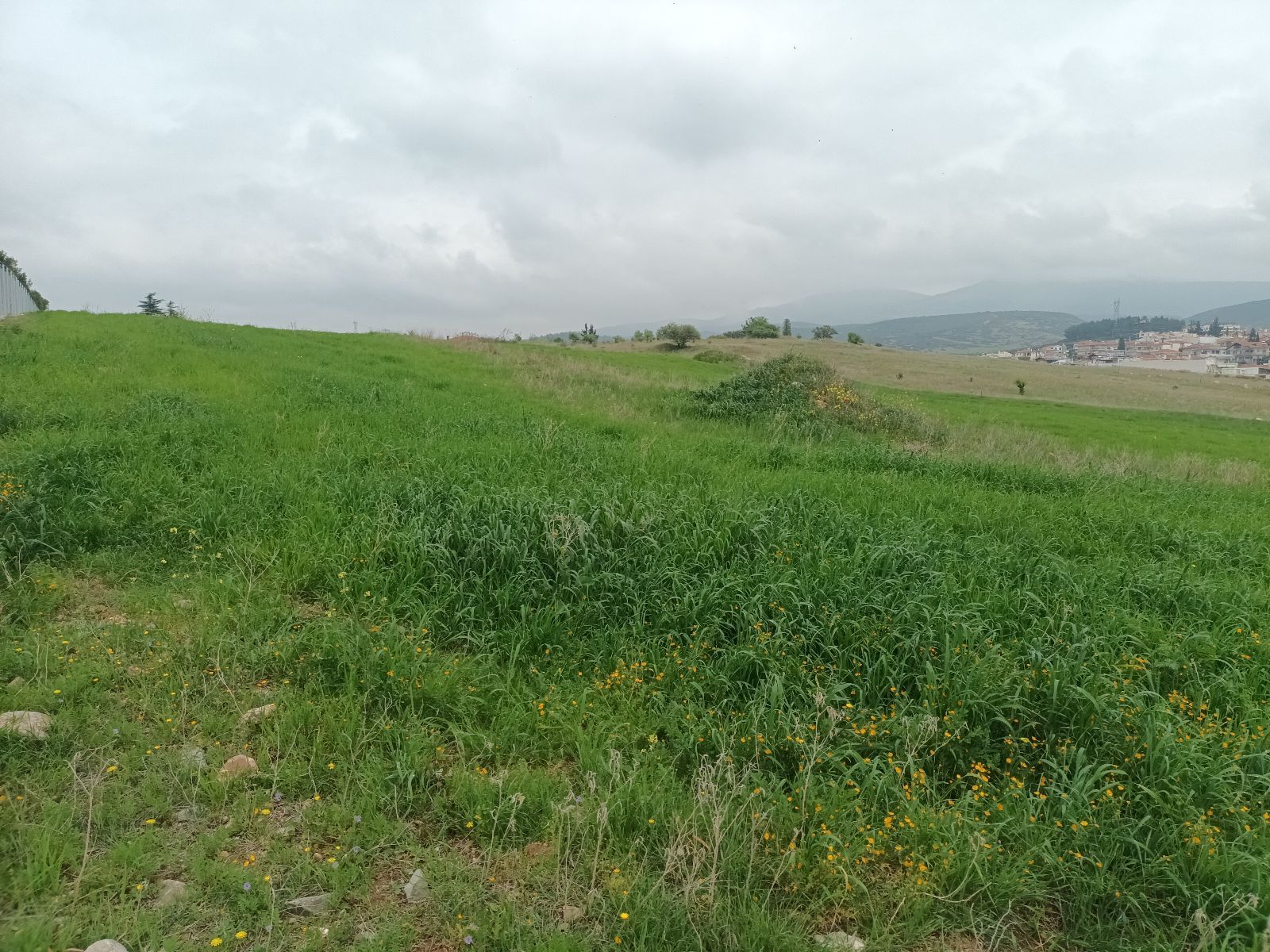 16000 m² Parcel