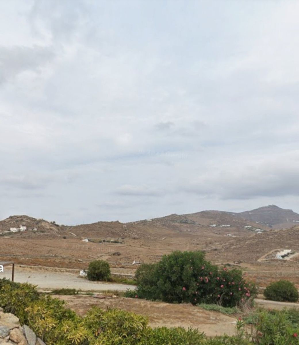 15600 m² Plot
