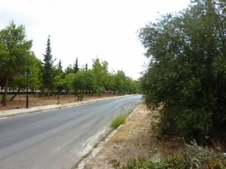 Οικόπεδο 351τ.μ.