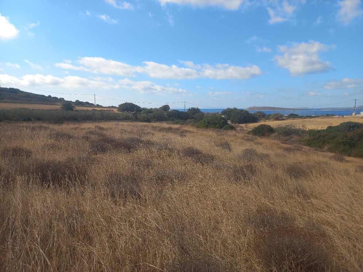 Parcel of 6200 m²