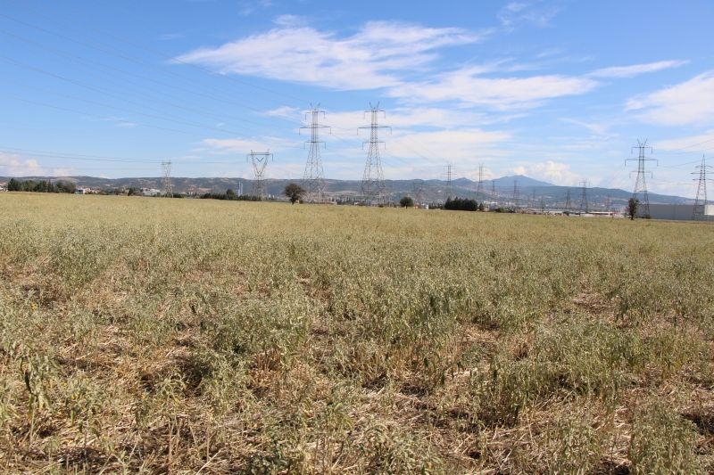 19800 m² Parcel