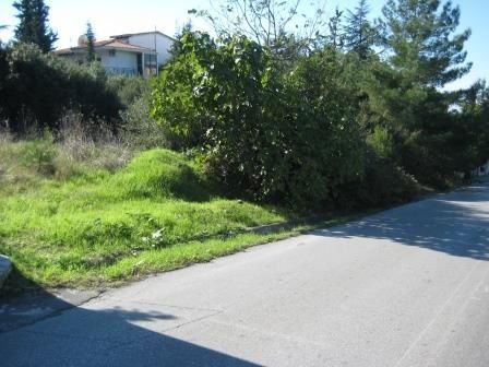 1000 m² Plot