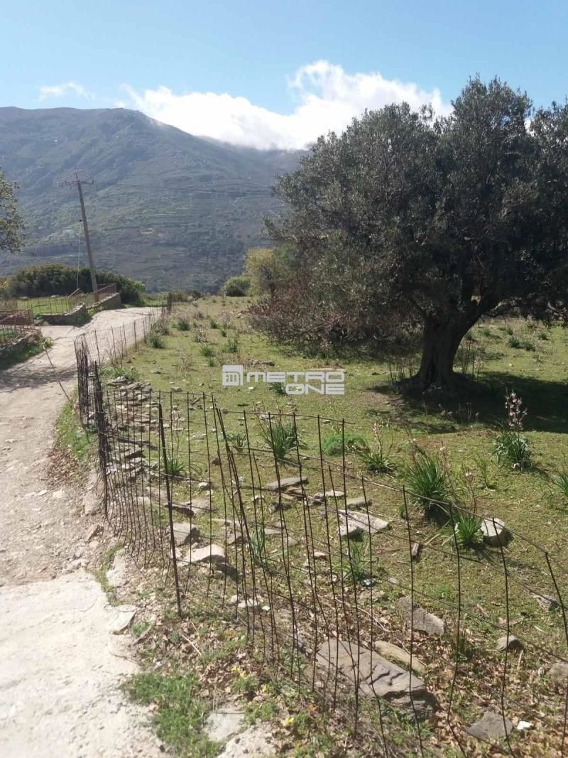 Αγροτεμάχιο 6932 τ.μ.