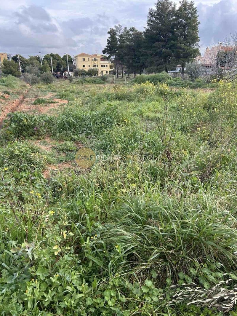 Οικόπεδο 1100τ.μ.