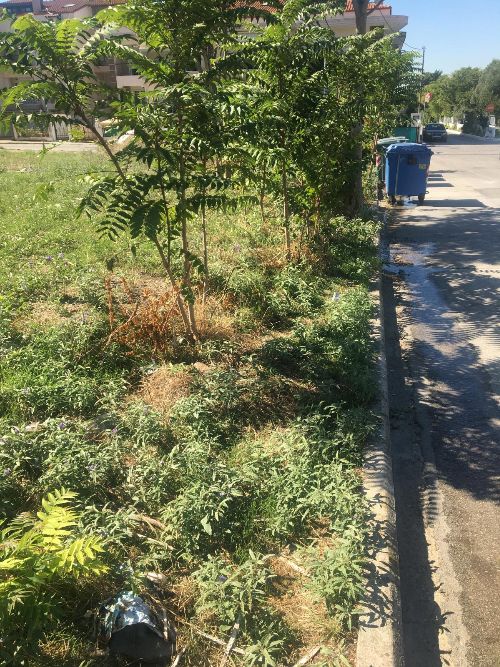 1750 m² Plot