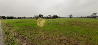 23700 m² Parcel