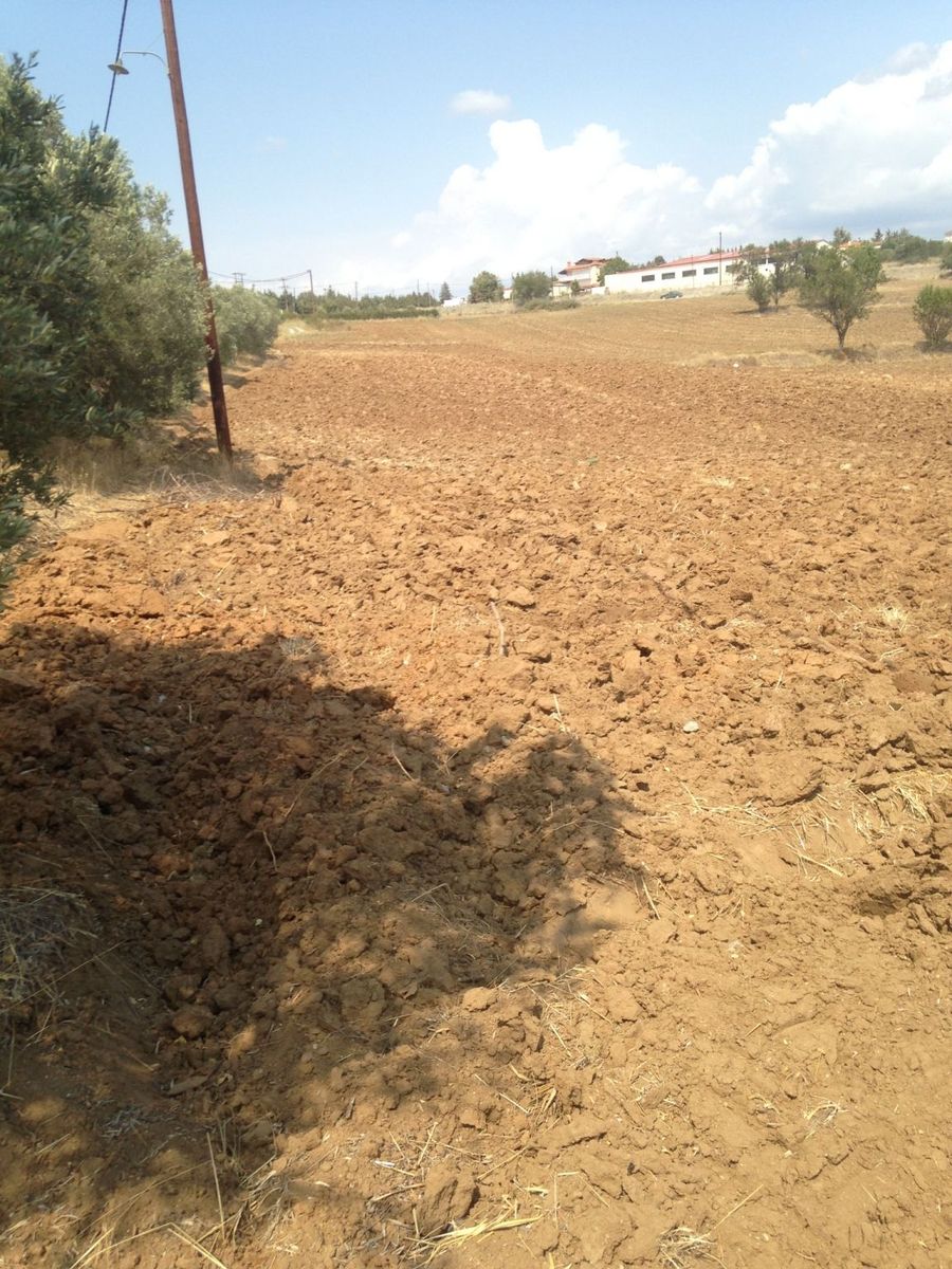 6500 m² Parcel