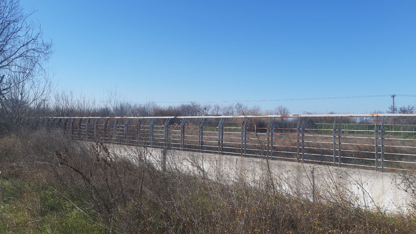 6480 m² Parcel