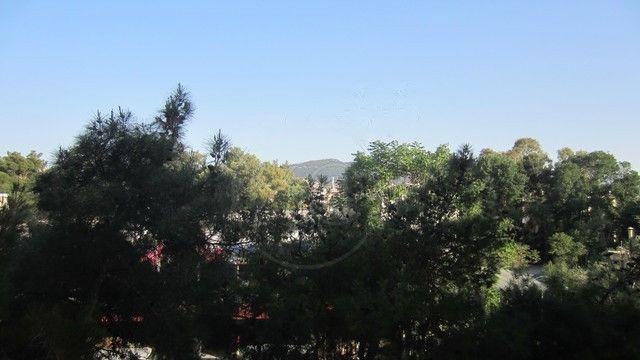 Οικόπεδο 1600 τ.μ.