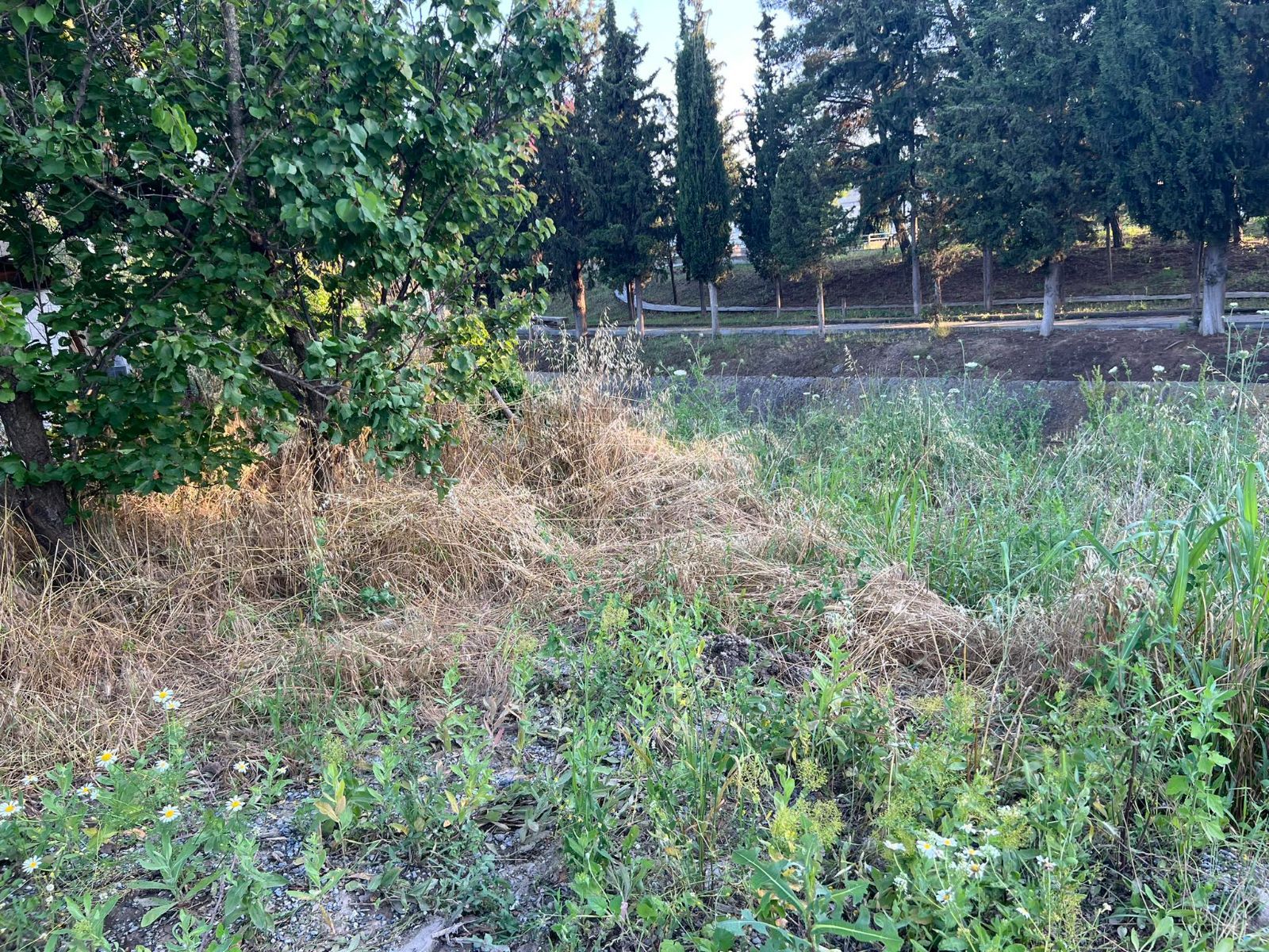 400τ.μ. Αγροτεμάχιο