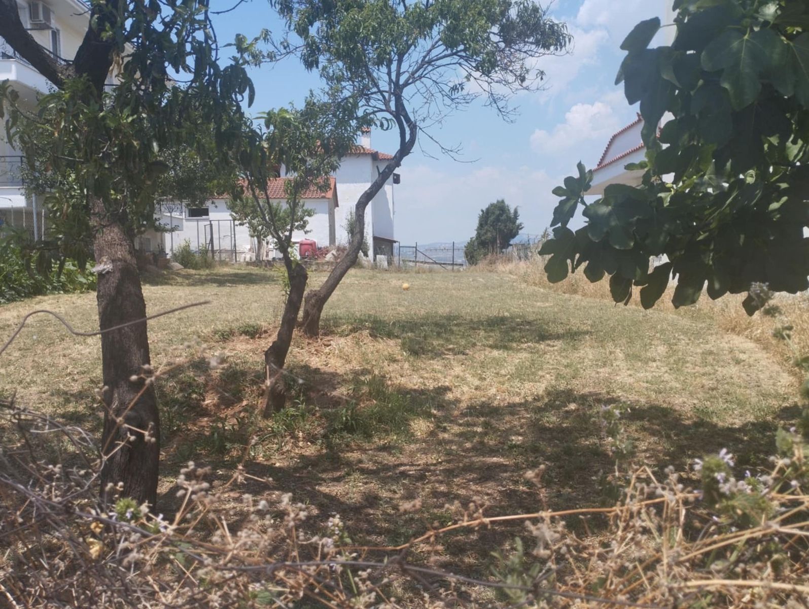 380 m² Plot