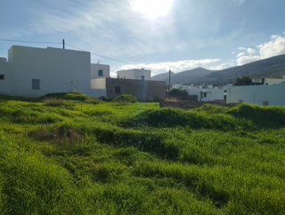 240 m² Plot