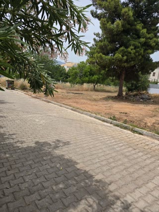 770000 m² Plot