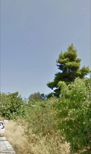 912 m² Plot