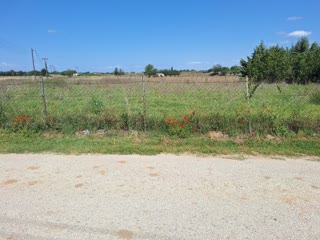 404 m² Plot