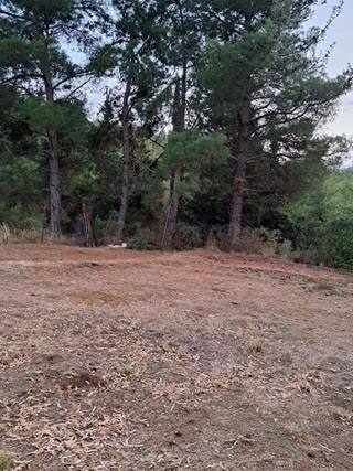 4750 m² Parcel