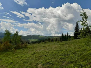 Sale of a plot of 1 Ha in Vyshkiv, Ivano-Frankivsk region