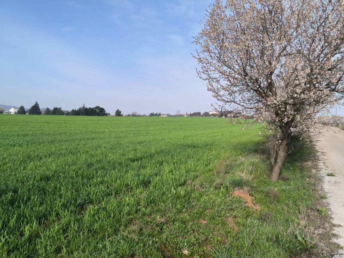 24000 m² Parcel