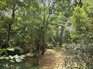 614 m² Plot