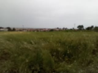 8565 m² Parcel
