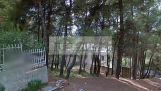 Участок 800 м²