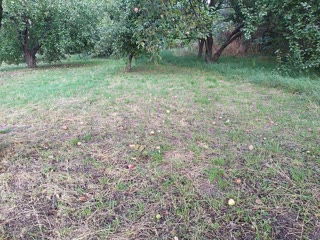 House for sale with a plot and outbuildings id_43506154