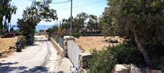 4231 m² Parcel