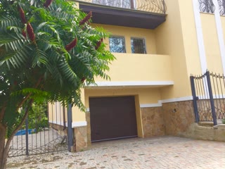 Продам Будинок 280 м2, 2 Поверх, кухня 21 м2, 5 кімнат Велика Данилівка