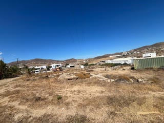 4000 m² Plot
