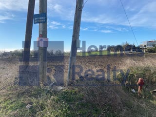 16162 m² Parcel