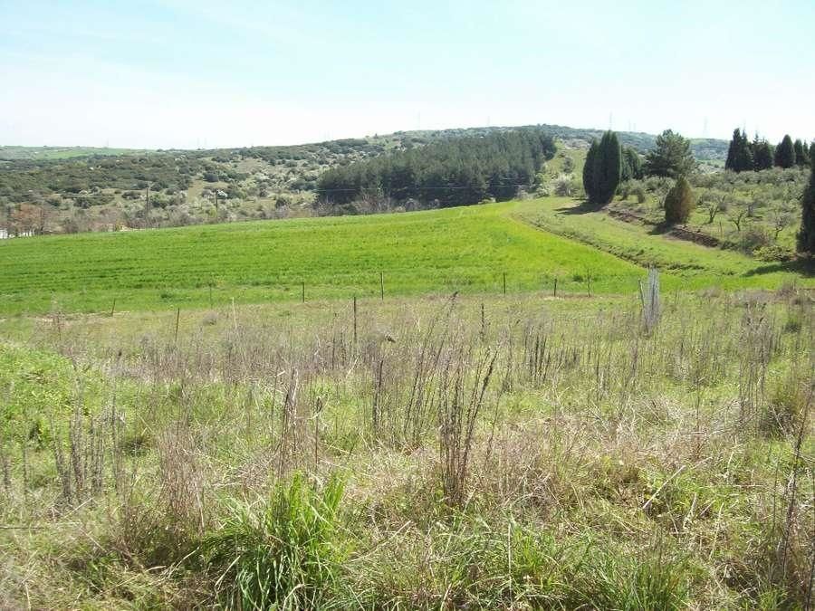 500 m² Plot