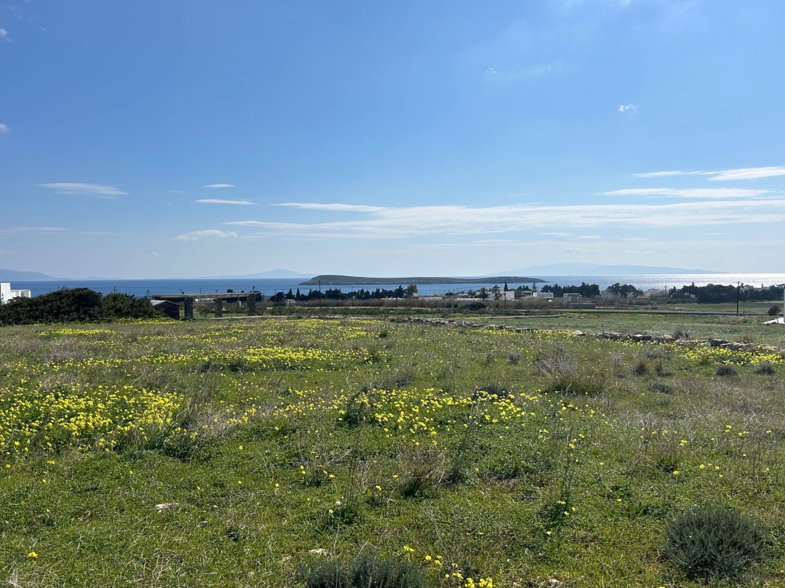 4000 τ.μ. Αγροτεμάχιο