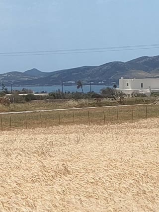 Οικόπεδο 5000 τ.μ.