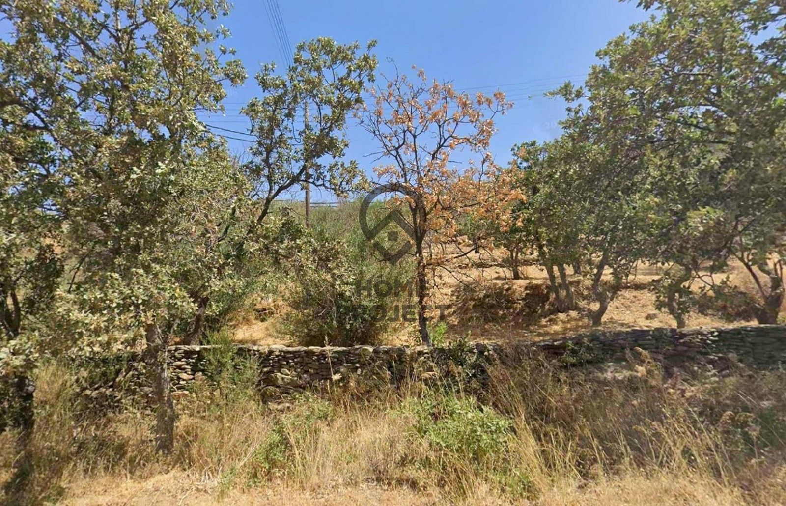 8404 m² Plot