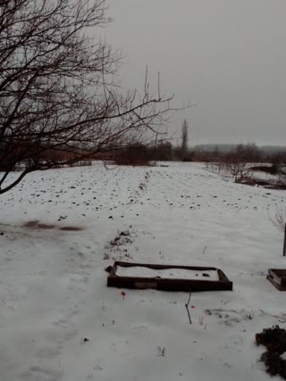 продам дом в центре п