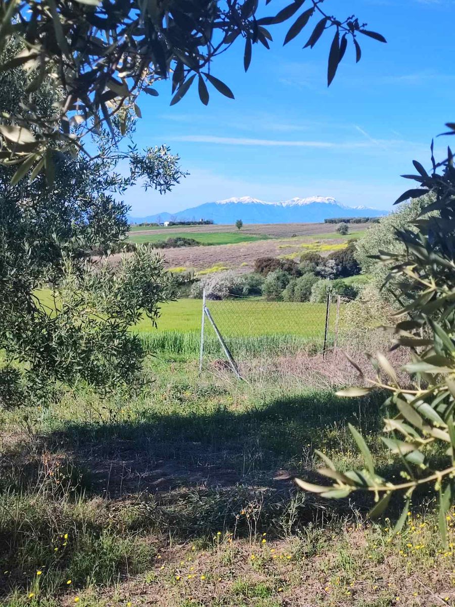 10000 m² Parcel