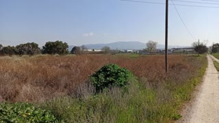 13688 m² Parcel