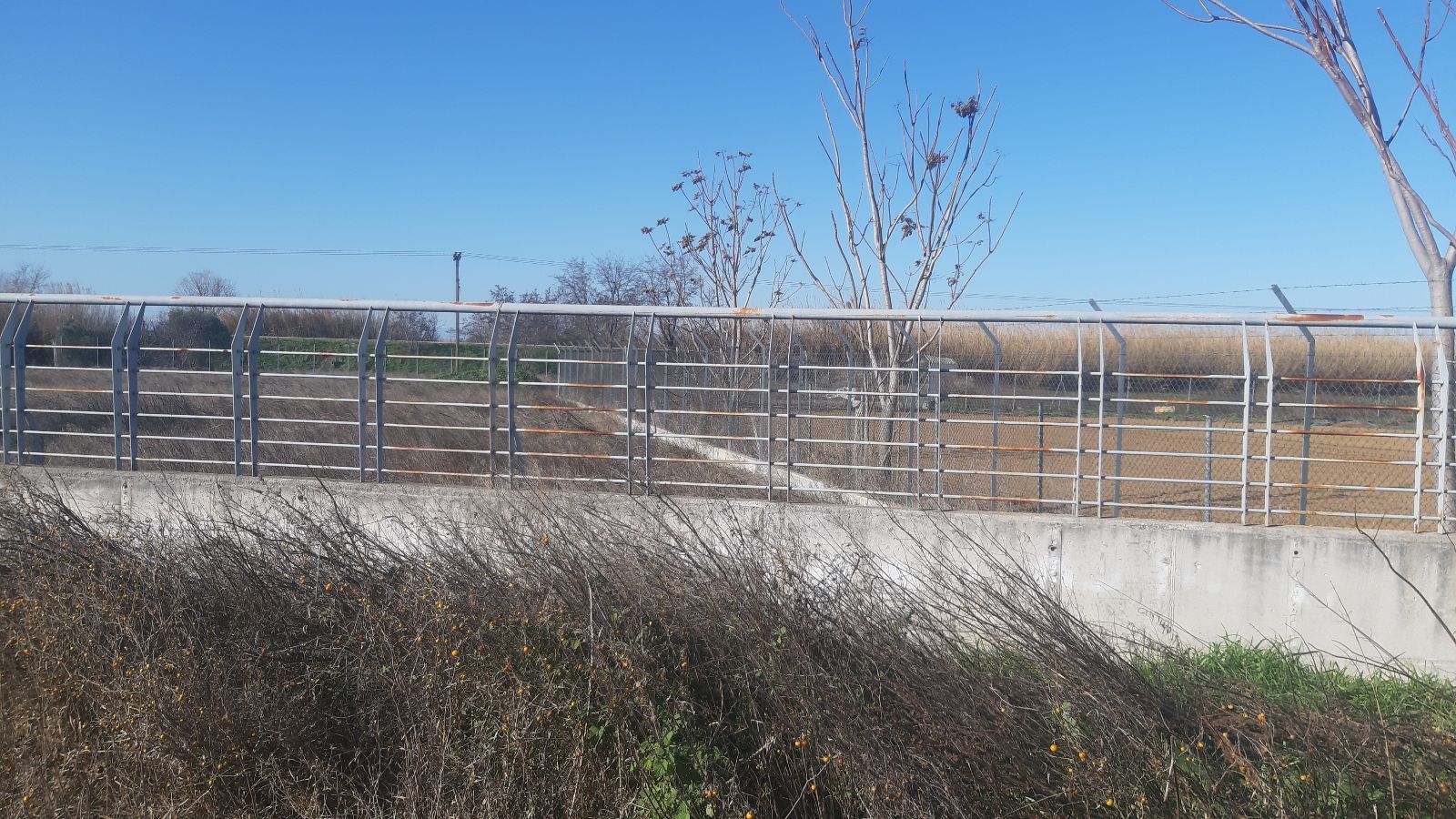 6480 m² Parcel