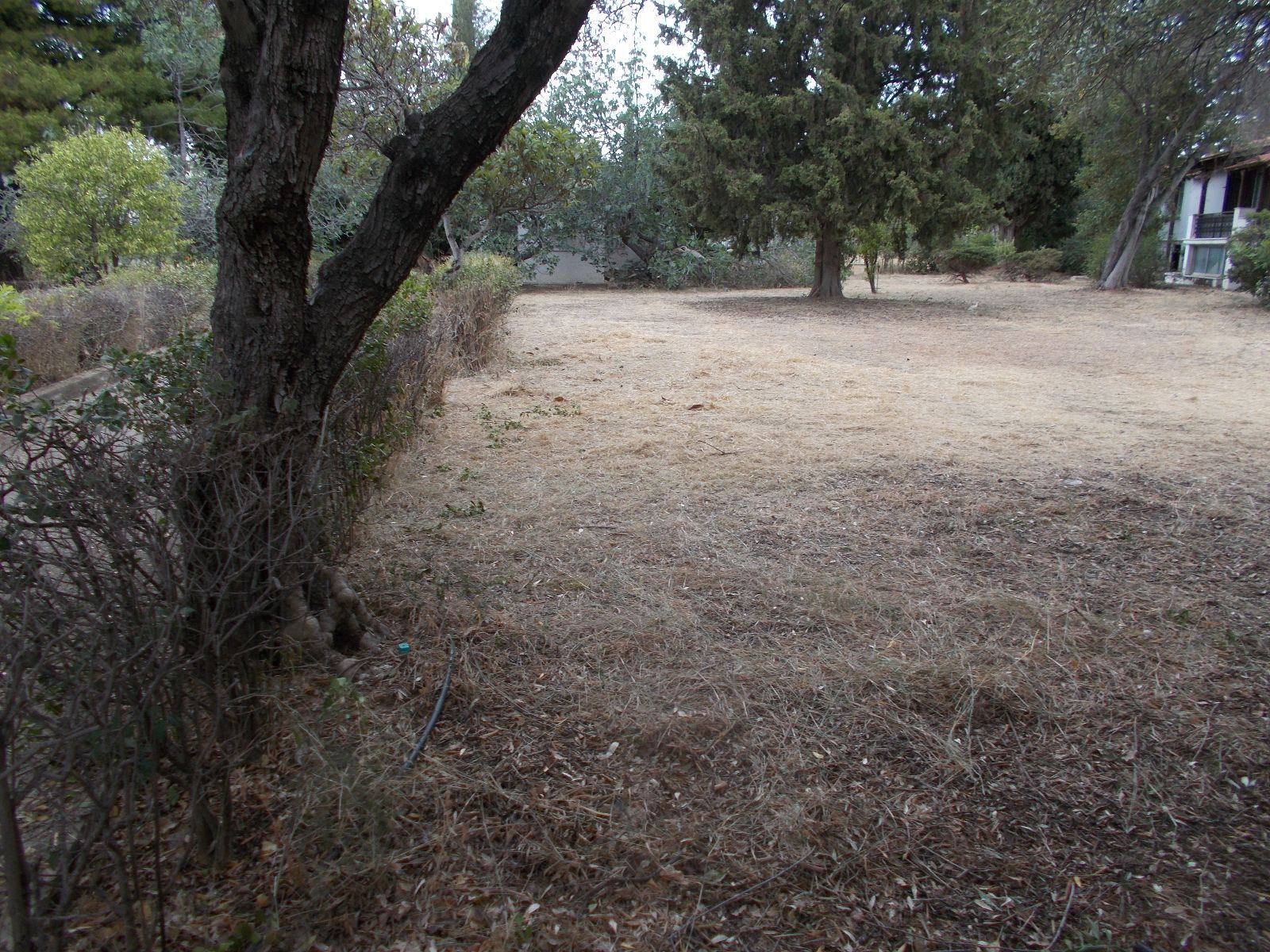 Οικόπεδο 1176 τ.μ.
