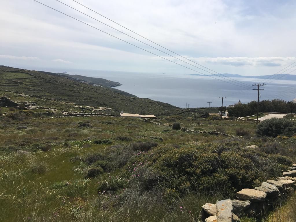 4654 m² Parcel