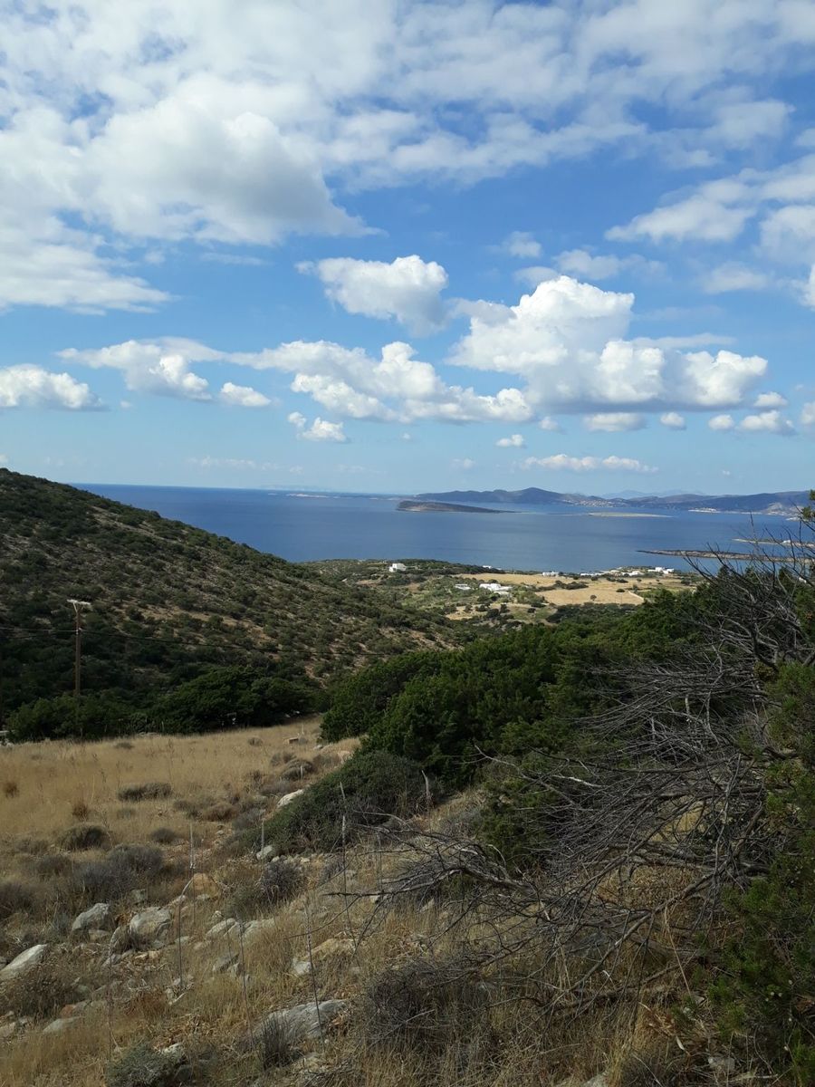 11500 m² Parcel